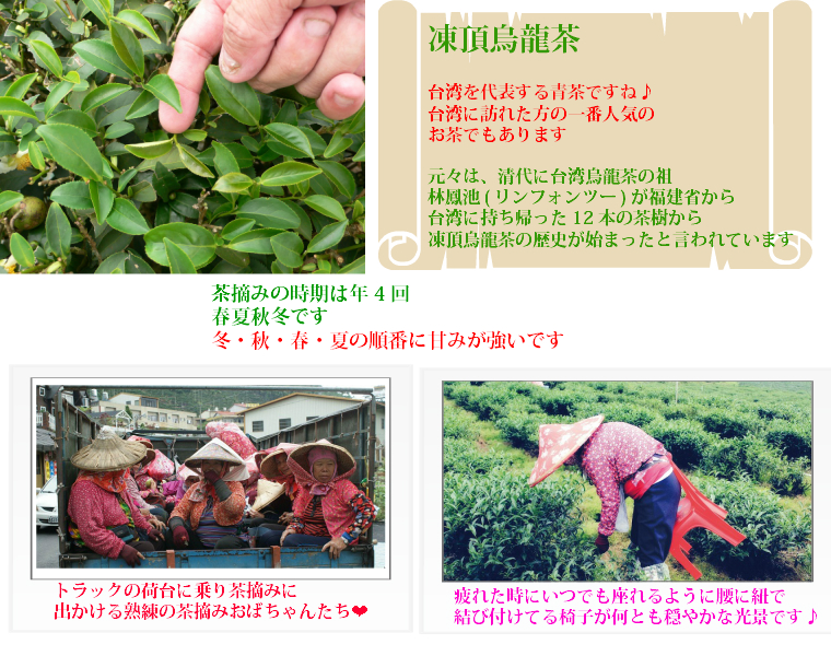 台湾茶 【凍頂烏龍茶】 中国茶 ウーロン茶 烏龍茶 送料無料